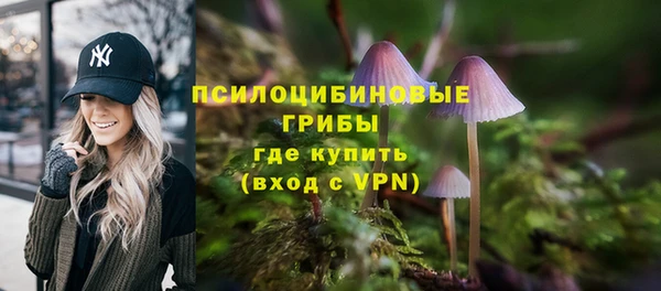 спиды Каменногорск