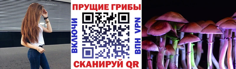 Галлюциногенные грибы ЛСД Купить где Лесосибирск